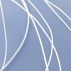 ͥå쥹ˤԤäΡڤˤ塡ӡɽˤȤޤ1m