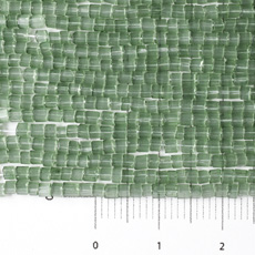 �ڤ����10/0 ϻ�� ���륯����ƥ��������꡼��ڥХ������