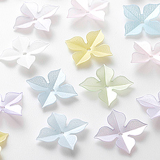 �ڲ֥��ѥ󥳡����10mm �������� �ѥ��ƥ� mix����30���